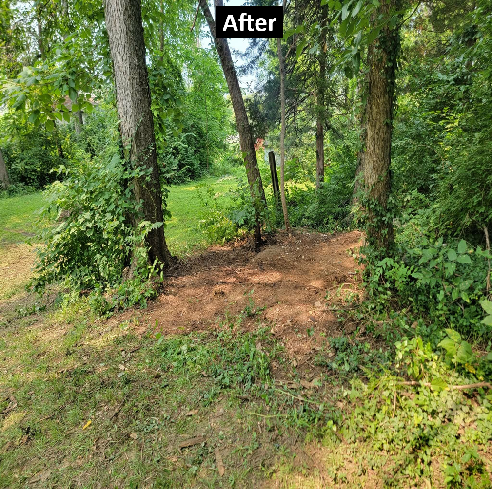 Clean cleared yard after Junkjitsu shed removal